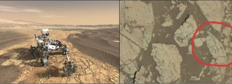 Curiosity Rover Spots Weird Trace Fossils on Mars