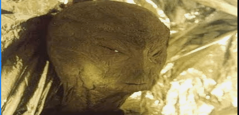 The Huge Underground Reptilian City found In Los Angeles