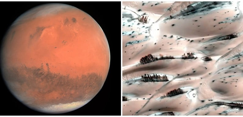 Trees Growing On Mars’ Surface Reveal A Big NASA Cover-Up