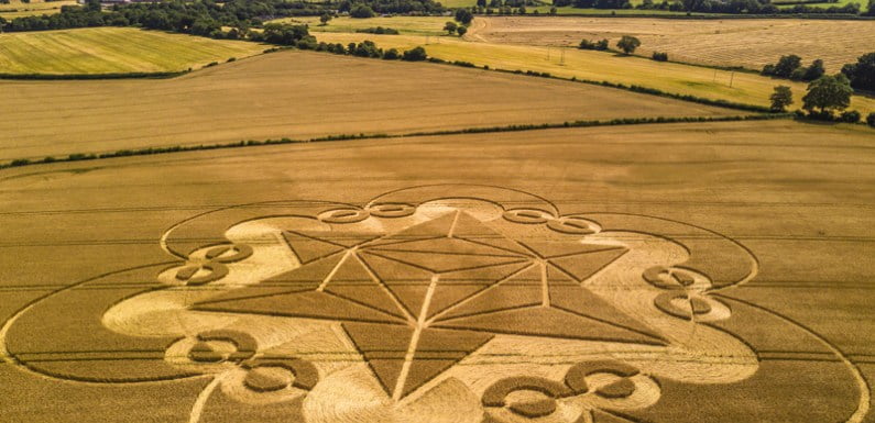 Another Amazing Yet Complex Crop Circle Emerges In Cley Hill, England